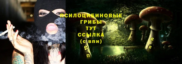 каннабис Ельня