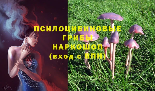 гидропоника Елизово