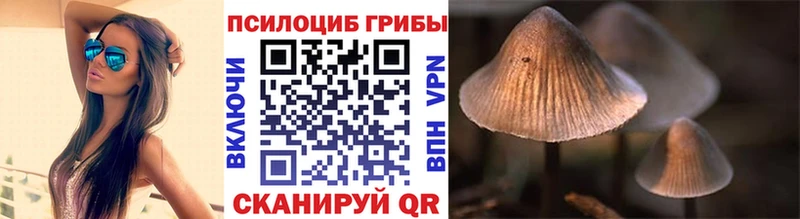 мега рабочий сайт  Ногинск  Галлюциногенные грибы мухоморы  даркнет сайт 