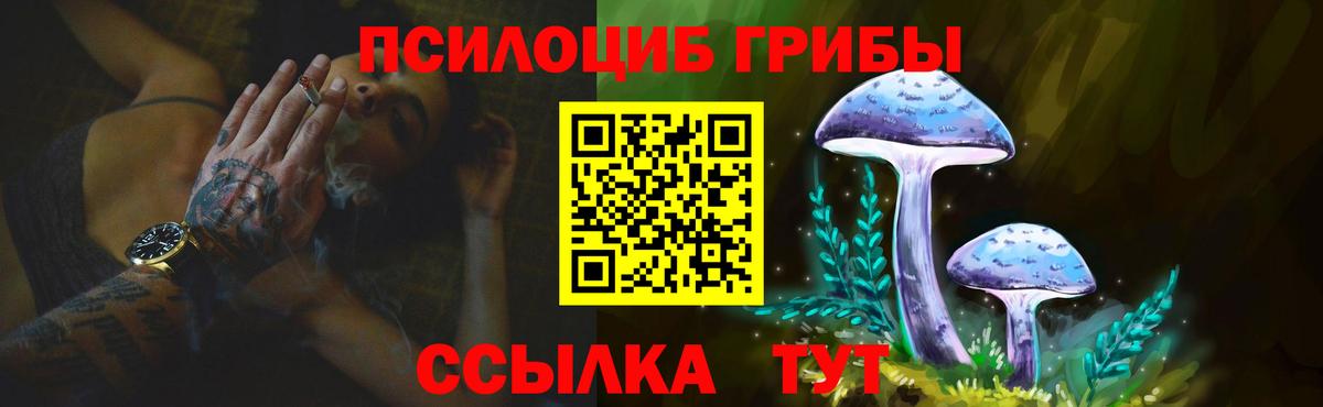 Ногинск  Галлюциногенные грибы Psilocybine cubensis  закладка  Вход с VPN 